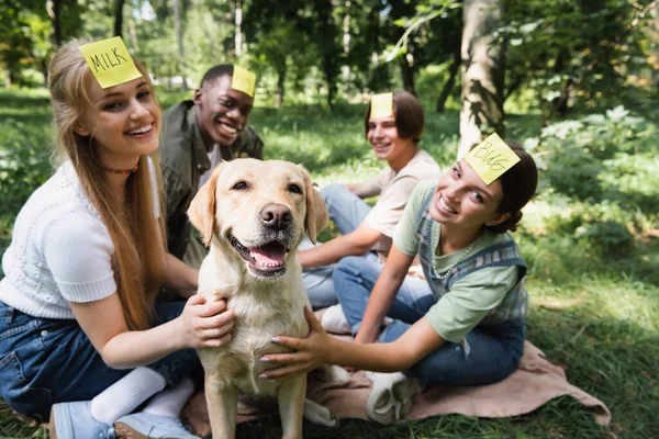 Blurred multiethnic teenagers playing who i am and petting retriever in park — Stock Photo