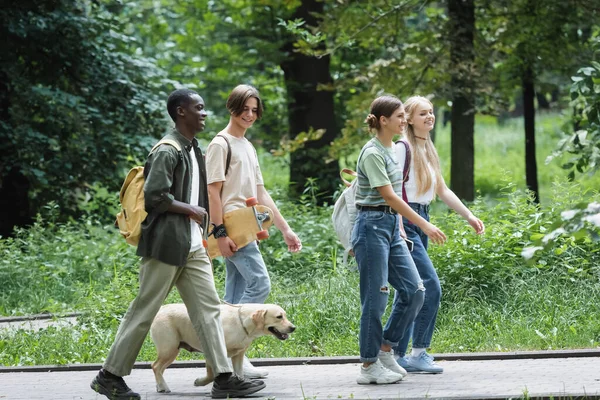 Alegre adolescente caminando cerca de interracial amigos con retriever y monopatín en parque - foto de stock