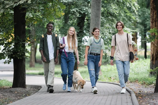 Smiling multiethnic teenagers with skateboard and retriever walking in park — Stock Photo