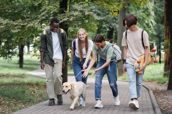 Interracial teenagers with backpacks looking at retriever in park — Stock Photo