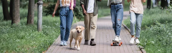 Vue recadrée d'adolescents multiethniques avec planche à roulettes et récupérateur marchant dans le parc, bannière — Photo de stock