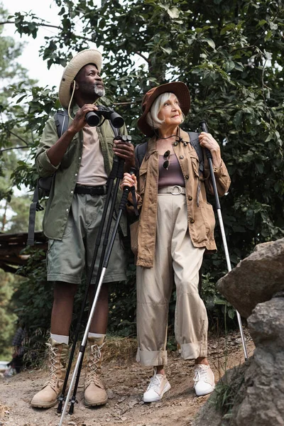 Elderly multiethnic hikers with trekking poles and backpacks standing in forest — Stock Photo