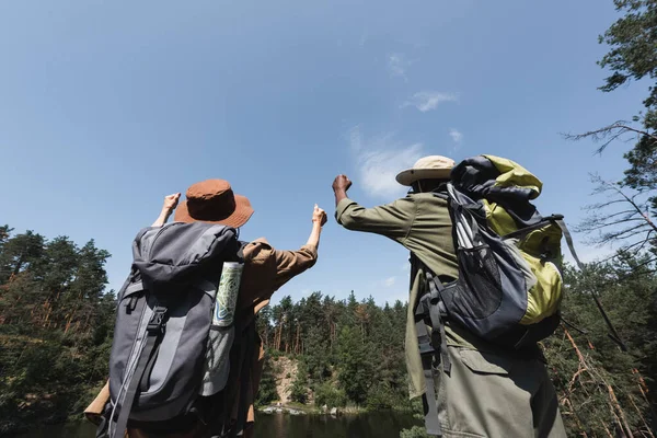 Vista trasera de excursionistas interracial con mochilas y mapa mostrando sí cerca del bosque - foto de stock