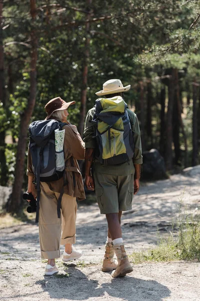 Randonneurs seniors interraciaux avec sacs à dos marchant dans la forêt — Photo de stock