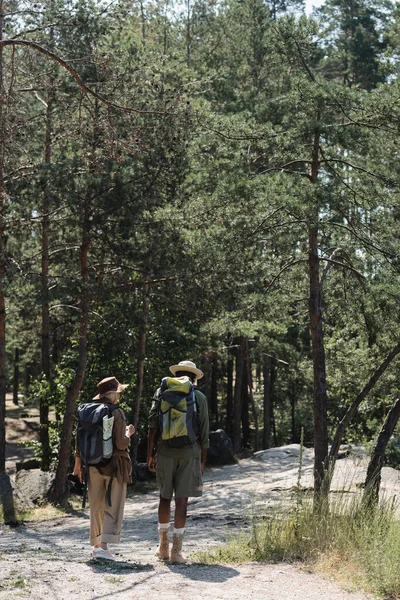 Elderly multiethnic couple with backpacks hiking in forest — Stock Photo