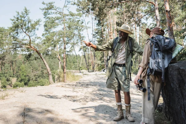 Homme afro-américain senior pointant avec le doigt près de la femme dans la forêt — Photo de stock