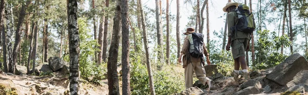 Multiethnisches Paar mit Rucksäcken zu Fuß auf Steinen im Wald, Banner — Stockfoto