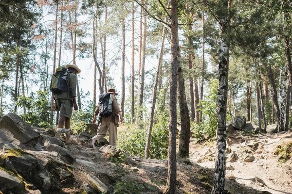 Senior travelers with backpacks walking on stones in forest — Stock Photo