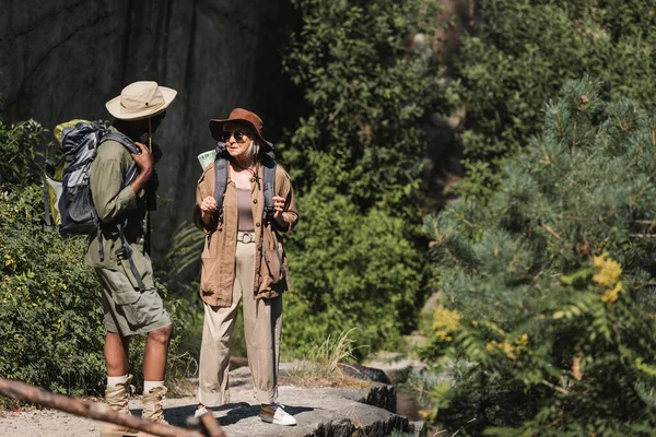 Couple multiethnique avec sacs à dos debout dans la forêt — Photo de stock