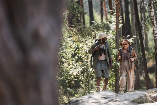 Африканський американець з рюкзаком і біноклем іде з старшою дружиною в лісі. — стокове фото