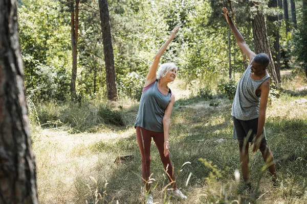 Ancianos pareja multiétnica calentándose en el bosque - foto de stock