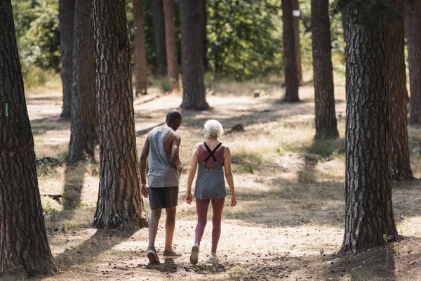 Senior multiethnic couple in sportswear walking in forest — Stock Photo