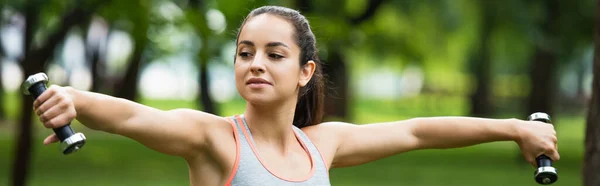 Jovem desportista segurando halteres em mãos estendidas, banner — Fotografia de Stock