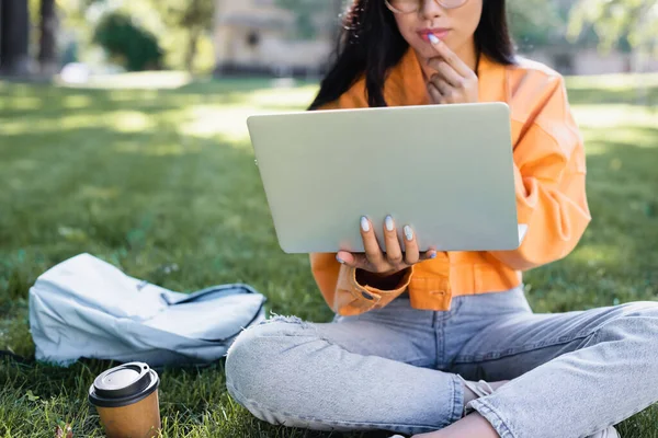 Vista ritagliata di donna premurosa seduta sull'erba con computer portatile vicino tazza di carta — Foto stock