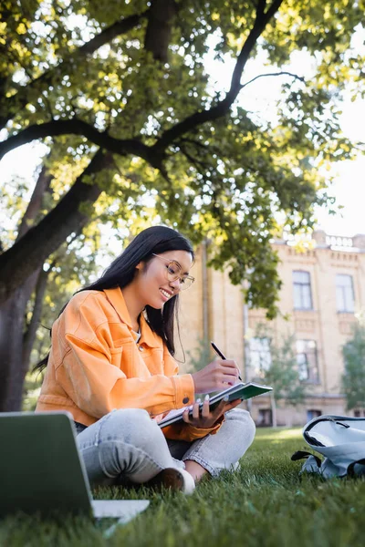 Alegre asiático mulher sentado no parque e escrevendo no notebook perto laptop — Fotografia de Stock