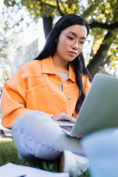 Asiático estudiante en gafas usando laptop en parque, borrosa primer plano - foto de stock