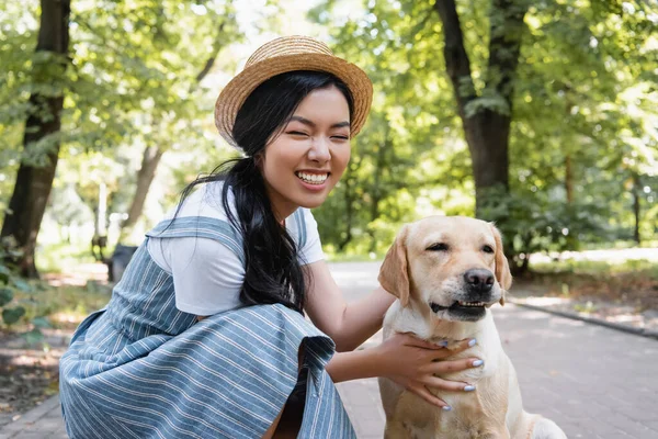 Feliz asiático mujer en paja sombrero abrazando amarillo labrador en parque - foto de stock