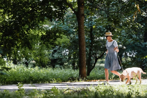 Joven asiático mujer en sundress y paja sombrero paseando con labrador en parque - foto de stock