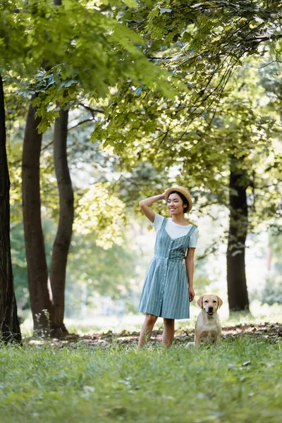 Piacere asiatico donna toccare paglia cappello mentre guardando lontano in parco vicino giallo labrador — Foto stock