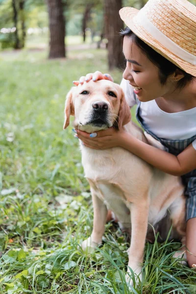 Feliz asiático mujer acariciando amarillo labrador en hierba en parque - foto de stock