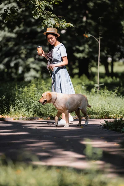 Asian woman holding coffee to go while walking with yellow labrador in park — Stock Photo