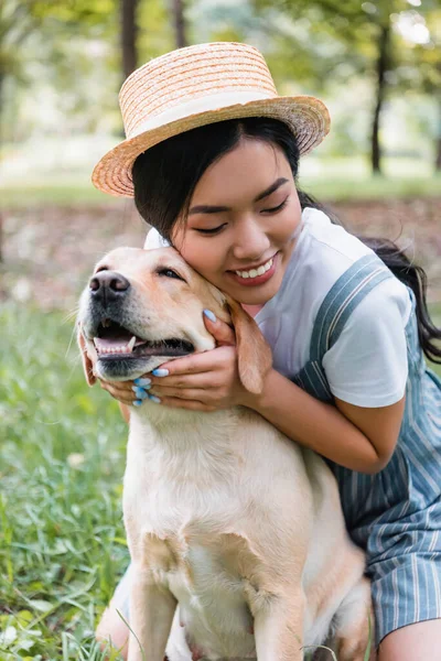 Joven y feliz asiático mujer abrazando amarillo labrador en parque - foto de stock