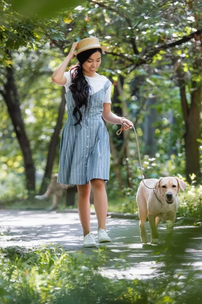 Cheerful asian woman in straw hat and striped sundress walking with labrador in park — Stock Photo