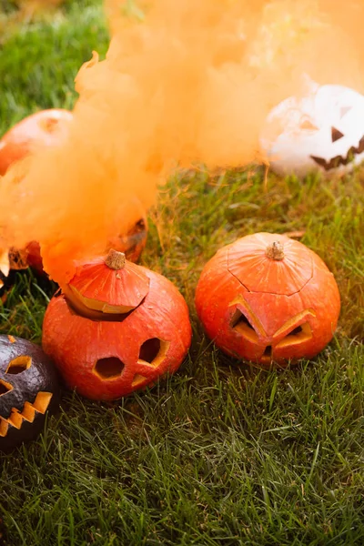 High angle view of orange smoke near carved pumpkins on green lawn — Stock Photo