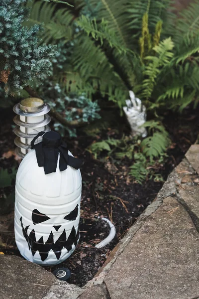 Bottle with spooky skull painting near juniper and fern in backyard garden — Stock Photo