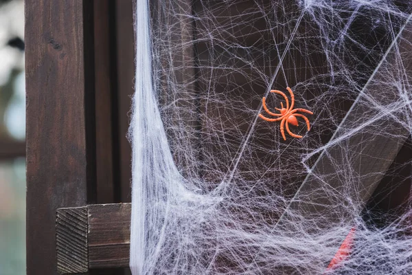 Дерев'яний паркан, прикрашений для Хеллоуїна з іграшковим павуком на павутинній сітці — стокове фото