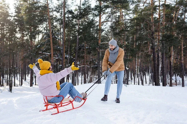 Sonriente hombre tirando novia en trineo en la nieve en el parque - foto de stock