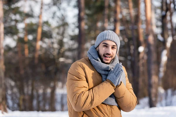 Uomo barbuto in guanti e cappello sorridente alla macchina fotografica nel parco invernale — Foto stock