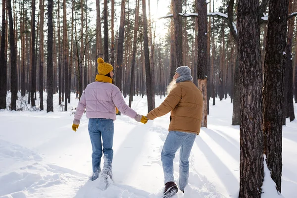 Seitenansicht eines jungen Paares, das beim Spazierengehen im verschneiten Park die Hände in Handschuhen hält — Stockfoto