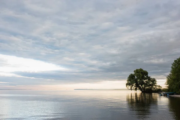 Деревья на берегу моря на заднем плане — стоковое фото