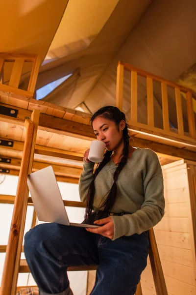 Asian freelancer with cup using laptop in glamping house — Stock Photo