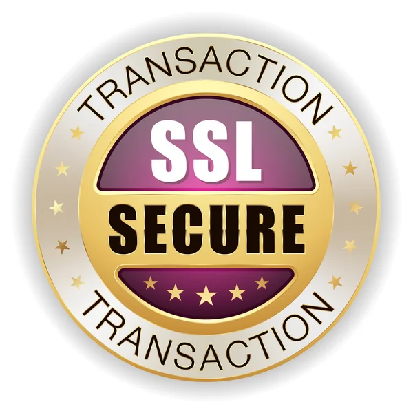 SSL biztonságos tranzakció jelvény — Stock Vector
