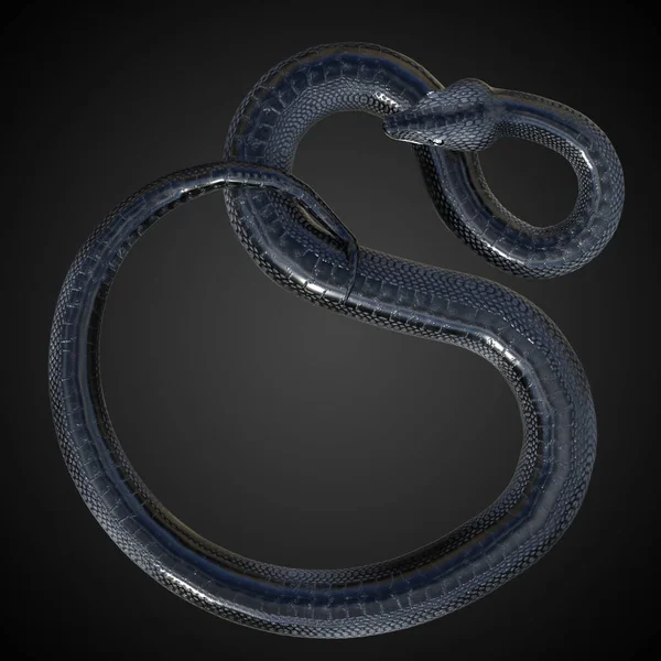 Rendering Illustration Black Scaled Snake Long Tail Curled Isolated Dark — Stock Photo, Image