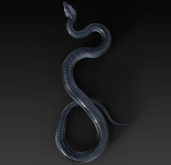 Rendering Illustration Black Slithering Snake Coiled Self Isolated Dark Background — Stock Photo, Image