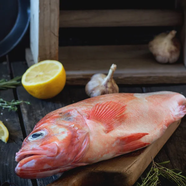 Raw fish grouper — Stock Photo, Image