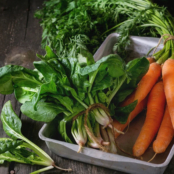 Ramo de zanahoria y espinacas — Foto de Stock