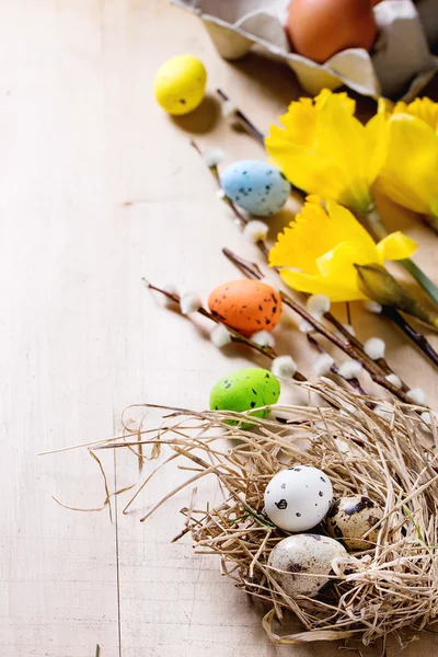 Pasen decoratie met kwarteleitjes — Stockfoto