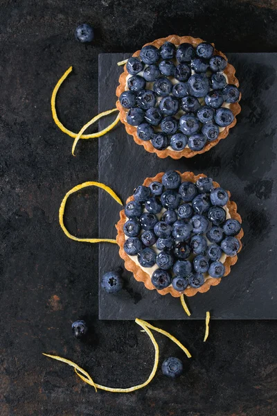 用蓝莓馅饼 — 图库照片