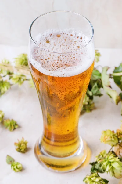 ラガー ビールのグラス — ストック写真