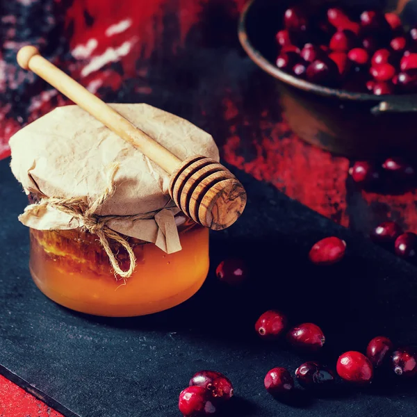 Honey and cranberries — Stock fotografie