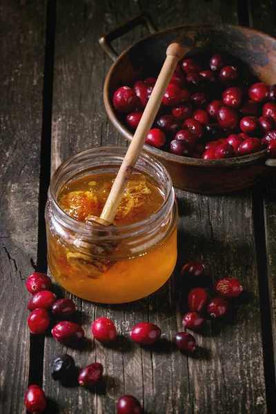 Honey and cranberries — Stok fotoğraf