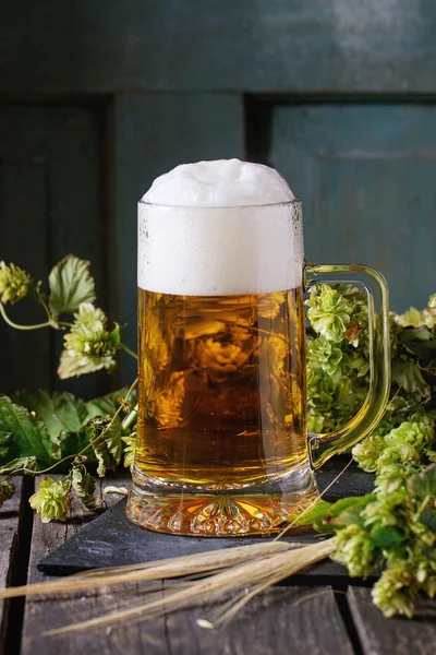 Mug of lager beer — Stock Photo, Image