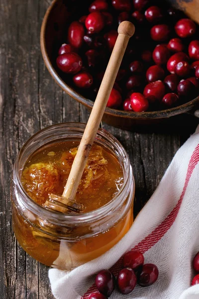 Honey and cranberries — Stok fotoğraf