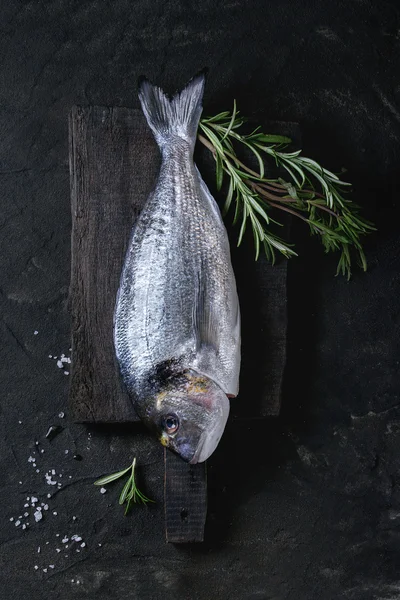 Ryby syrové pražma s bylinkami — Stock fotografie