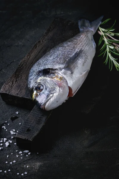 Orata cruda con erbe aromatiche — Foto Stock