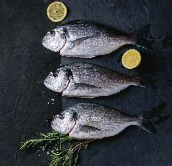 Raw bream fish with herbs — Stock Photo, Image